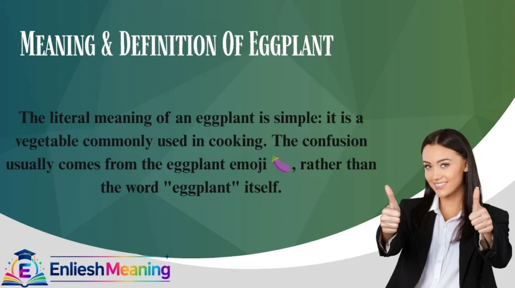 Meaning & Definition Of  Eggplant