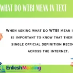 What Do WTBI Mean in Text