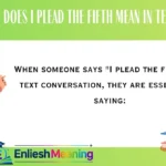 What Does I Plead the Fifth Mean in Text