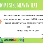 What STSU Mean in Text