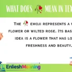 What Does 🥀 Mean in Text