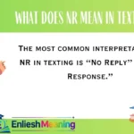 What Does NR Mean in Text