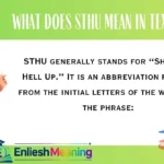 What Does STHU Mean in TextWhat Does STHU Mean in Text