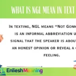 What Is NGL Mean in Text