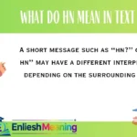 What Do HN Mean in Text